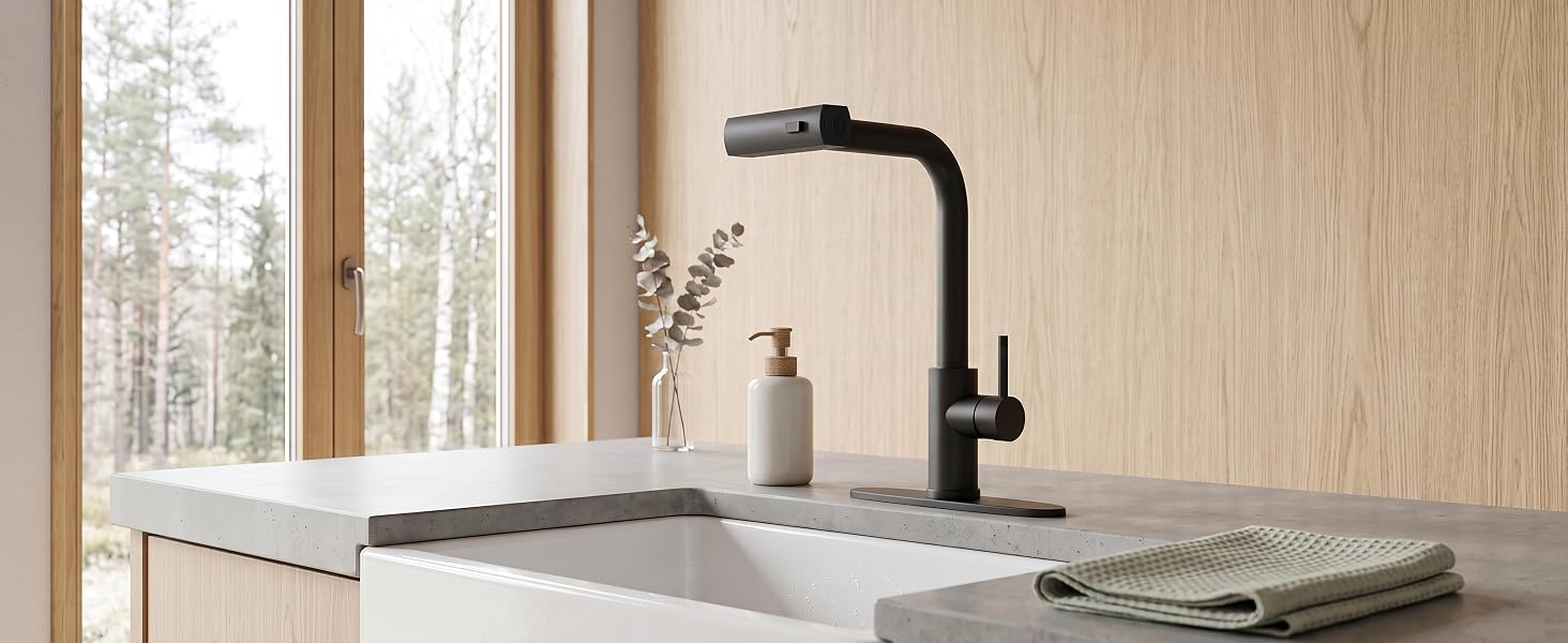 Farmhouse Sink Faucet