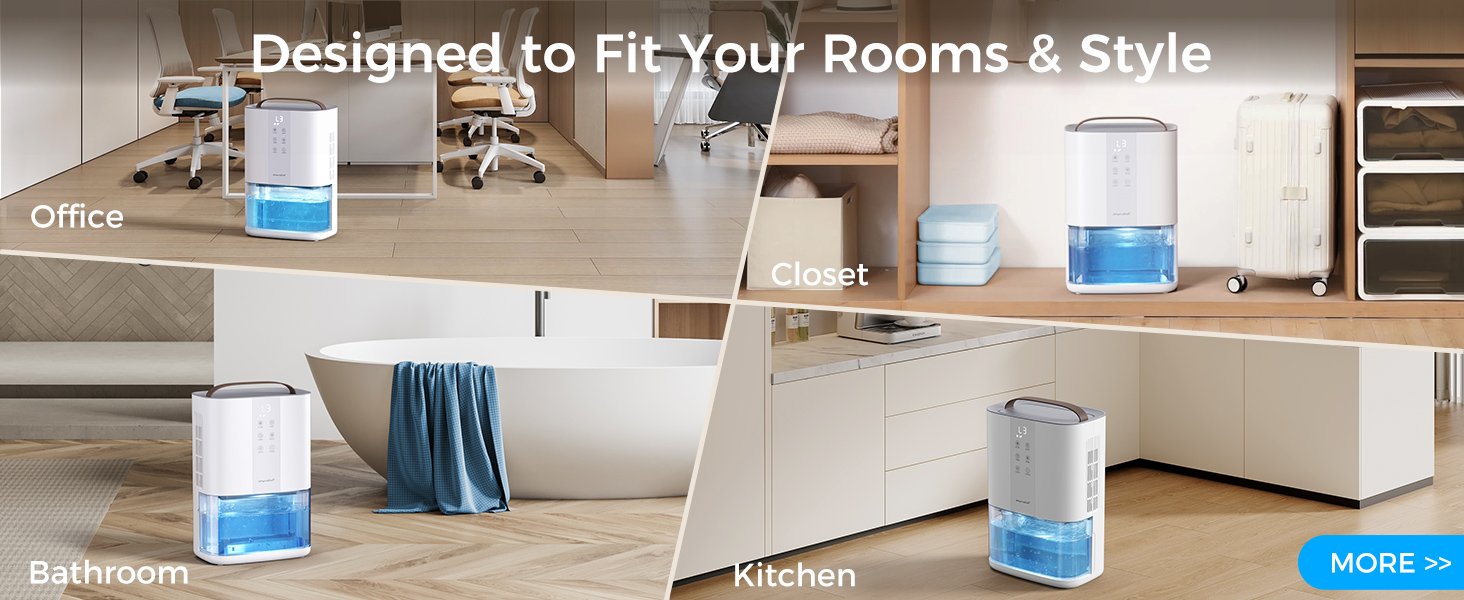 Dehumidifiers for Home