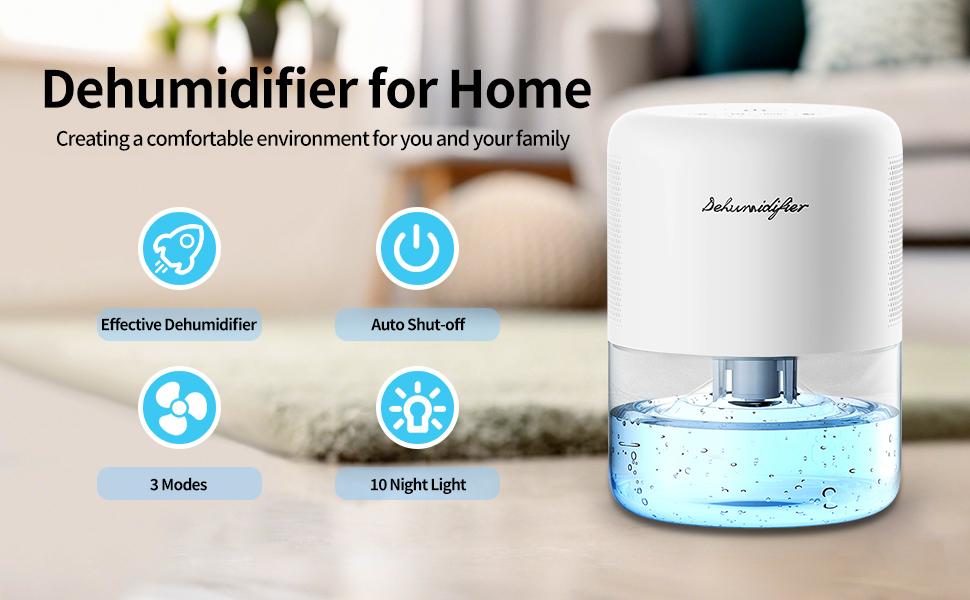 Dehumidifier for Home