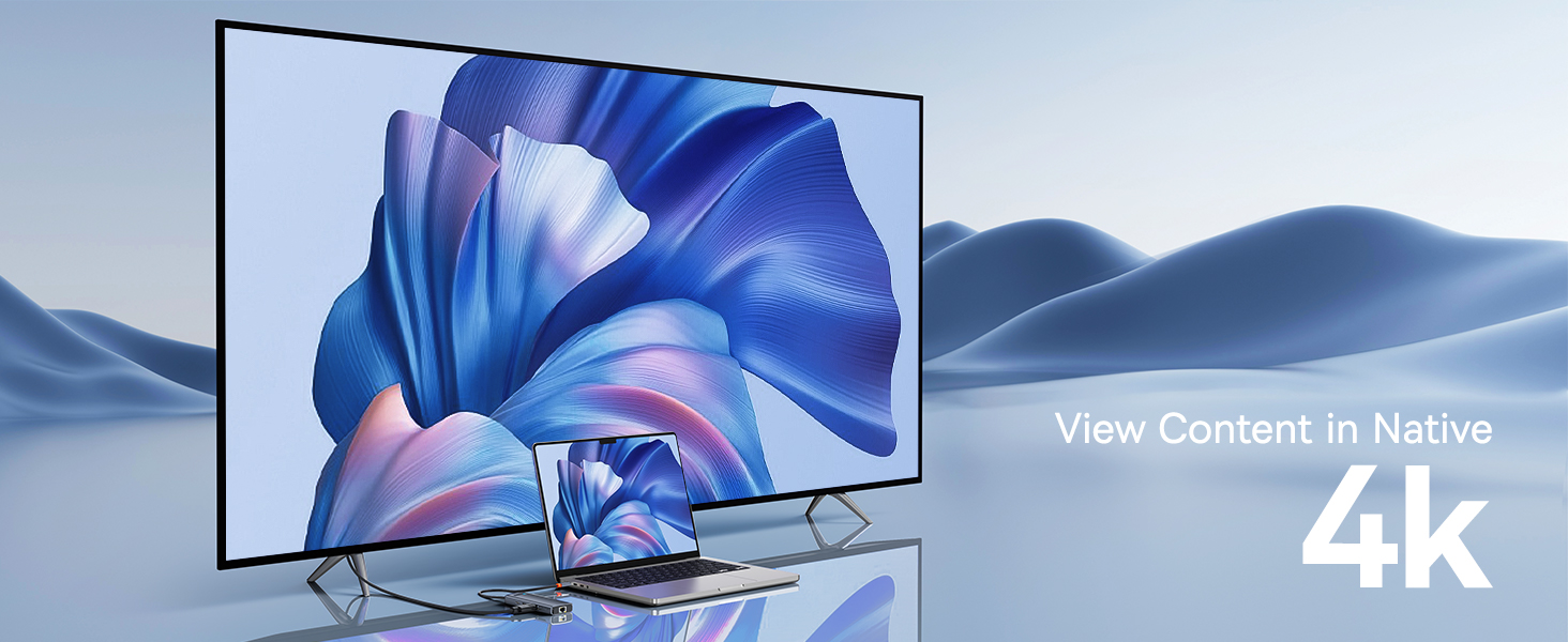 docking station dual monitor