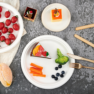 Disposable Paper Plates