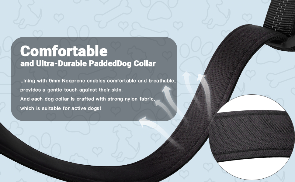airtag dog collar