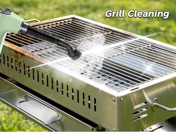 portable steam cleaner