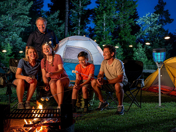 camping bug zapper