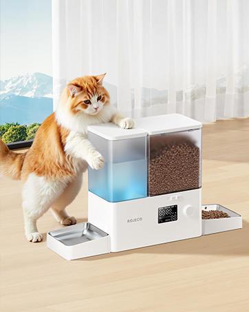 automatic cat feeder