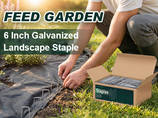 landscape staples 6 inch