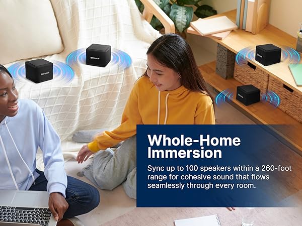 whole home immersion