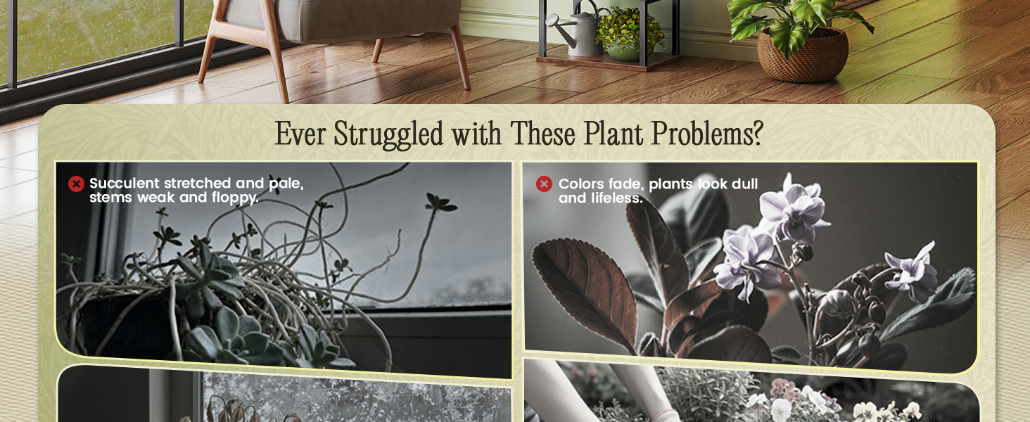 PLANT RACK