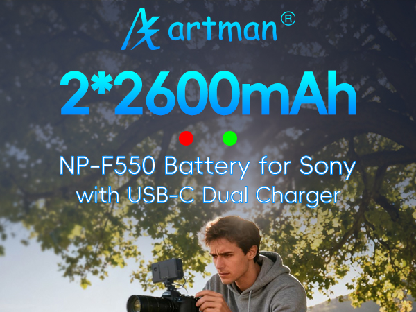 np-f550 battery