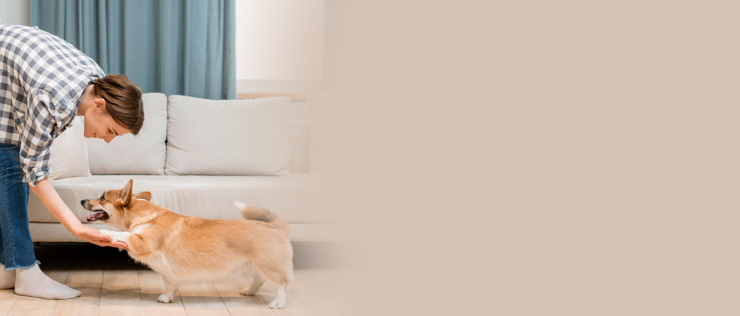 robot vacuum,robot vacuum cleaner, vacuum robot, vacuum robot