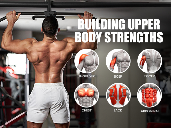 calisthenics equipment