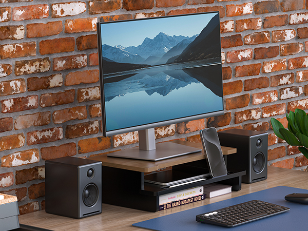 monitor stand riser