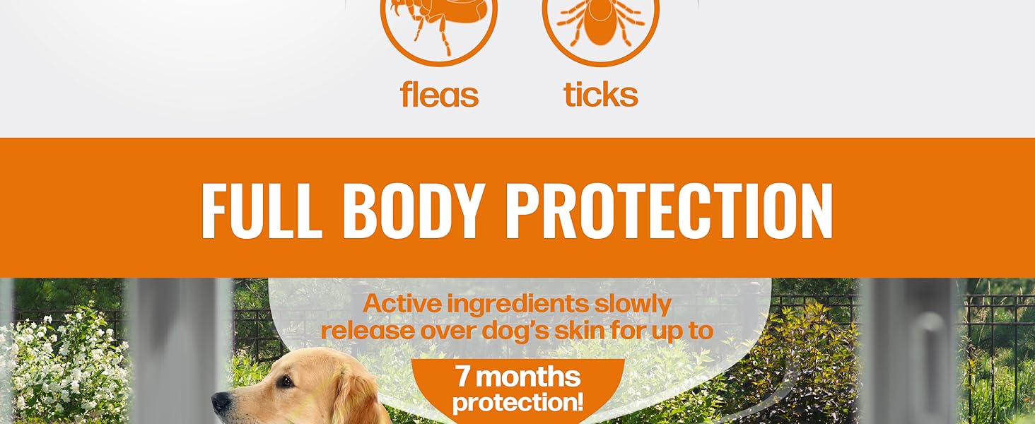 Full Body Protection