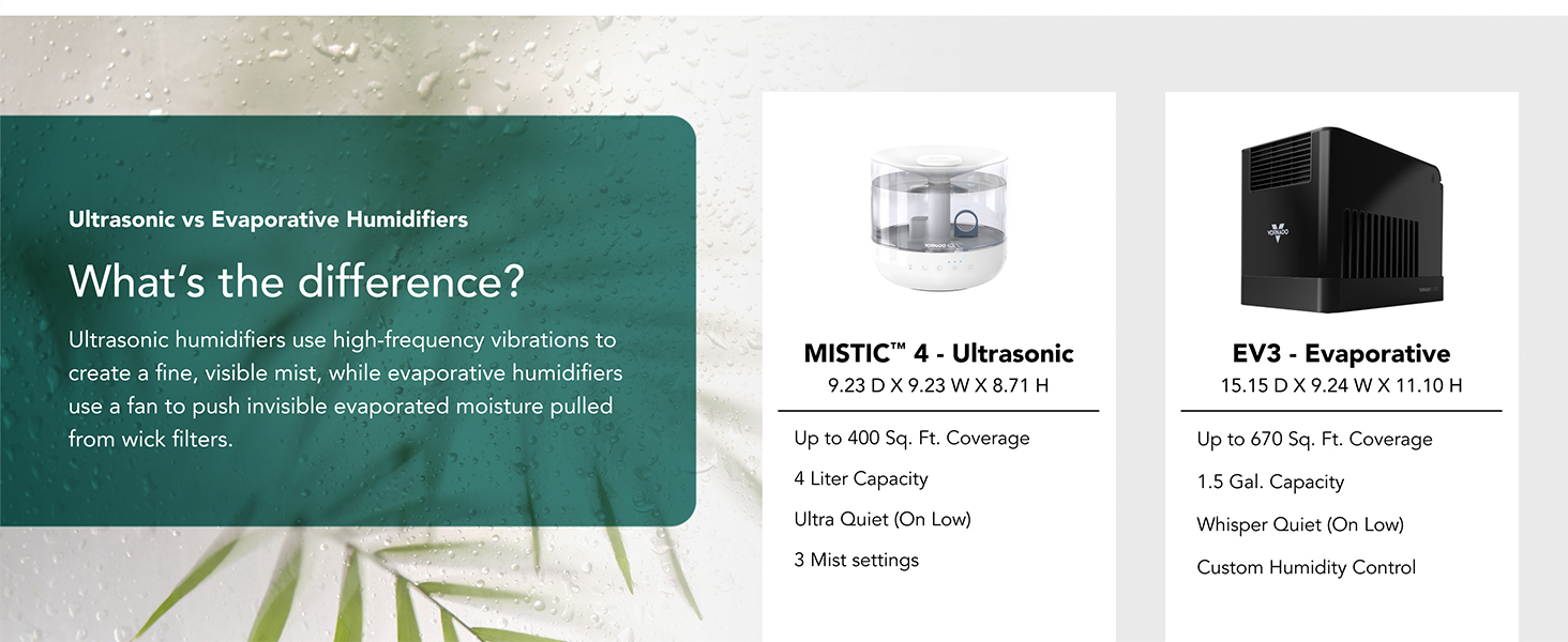 this or that humidifiers
