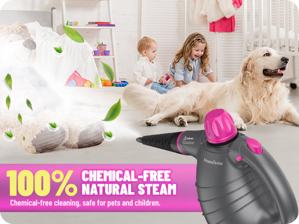 steamer for car detailing