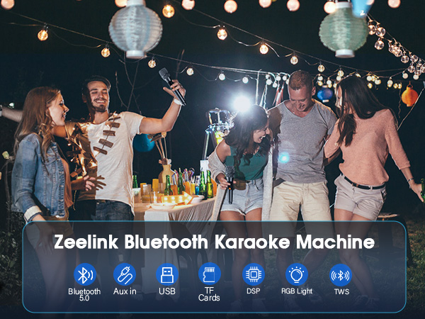 karaoke machine for adults kid