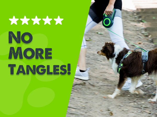 retractable dog leash
