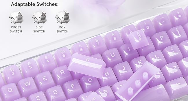 Womier Clear Jelly Keycaps, Ceramic Keycaps Style Cute Transparent Purple Keycaps
