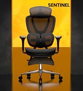 FLEXISPOT Sentinel Ergonomic Office Chair with Dual-Wing Adaptive Lumbar, 3D Armrests, 3-Position...