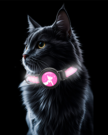 AirTag collar for Cat