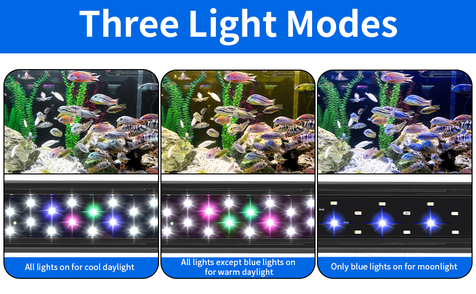 Three Light Mode