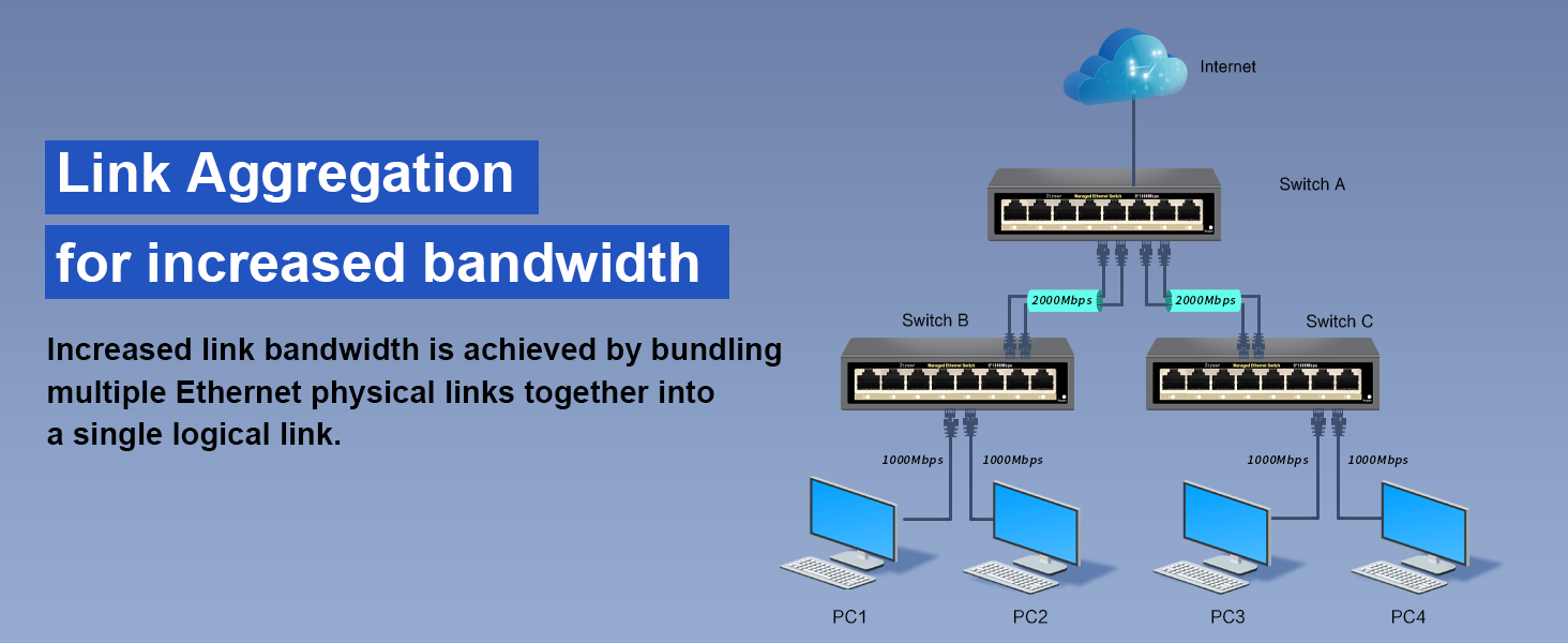 Full Gigabit Easy Web Managed Ethernet Switch