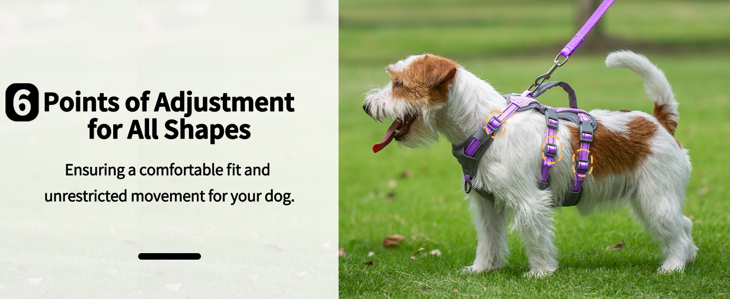 dog harness with handle 