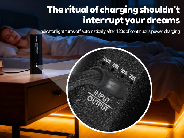 action camera handle