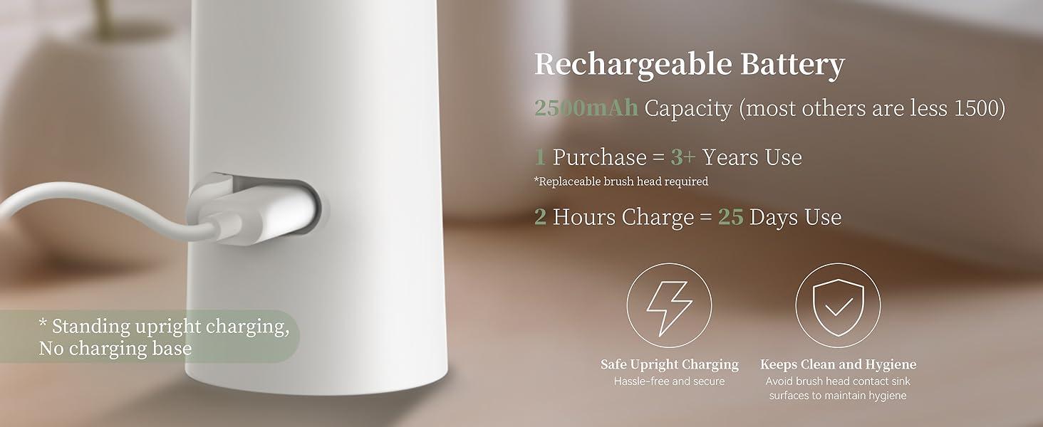 Electric Facial Cleansing Brush