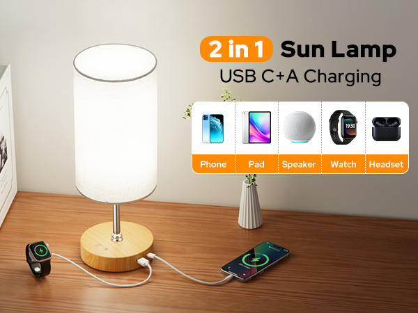 2-in-1 Daylight Light Therapy Lamp: Dual USB-C &amp;amp; USB-A Charging for convenience