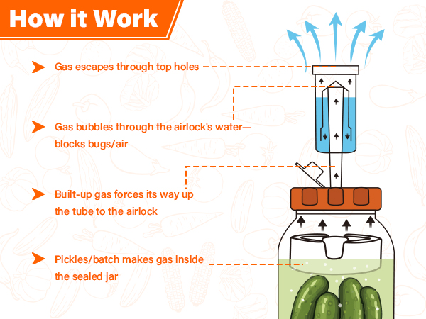 Fermentation airlock