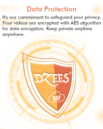 dzees security