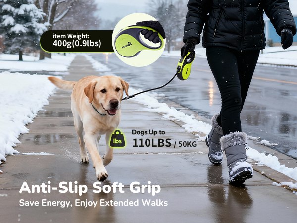 dog leash