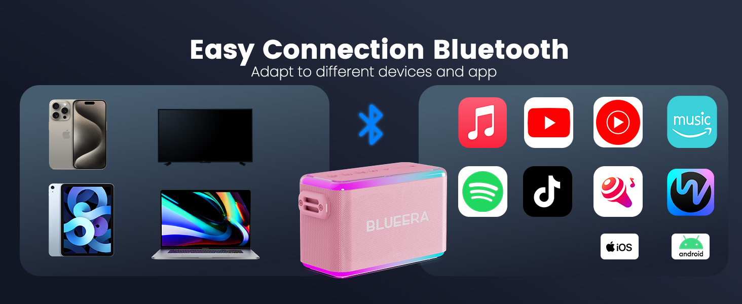 speaker with microphone