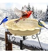 Jvgoo Heated Bird Bath for Deck Railing, Powerful 100W Thermostatically Controlled Heated Bird Ba...