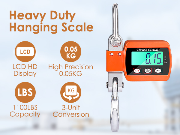 crane scale 500KG