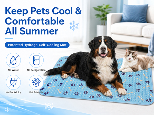 dog cooling bed indoor