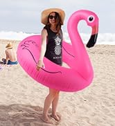 Flamingo Beach Floaties