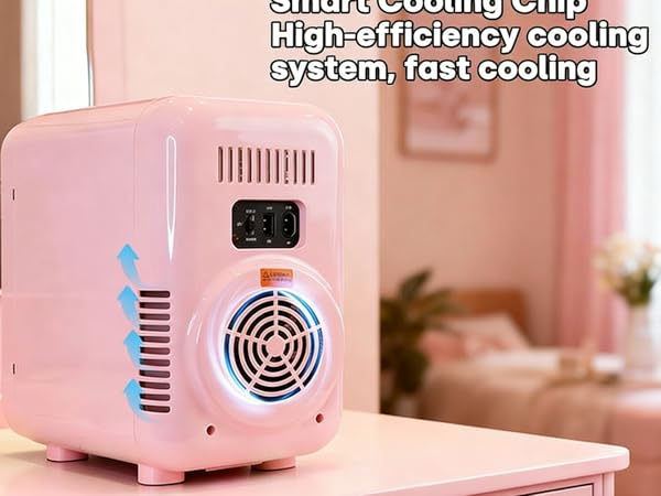 mini fridge