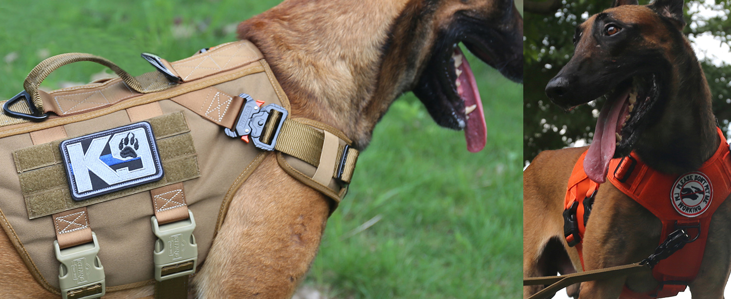 dog vest harness