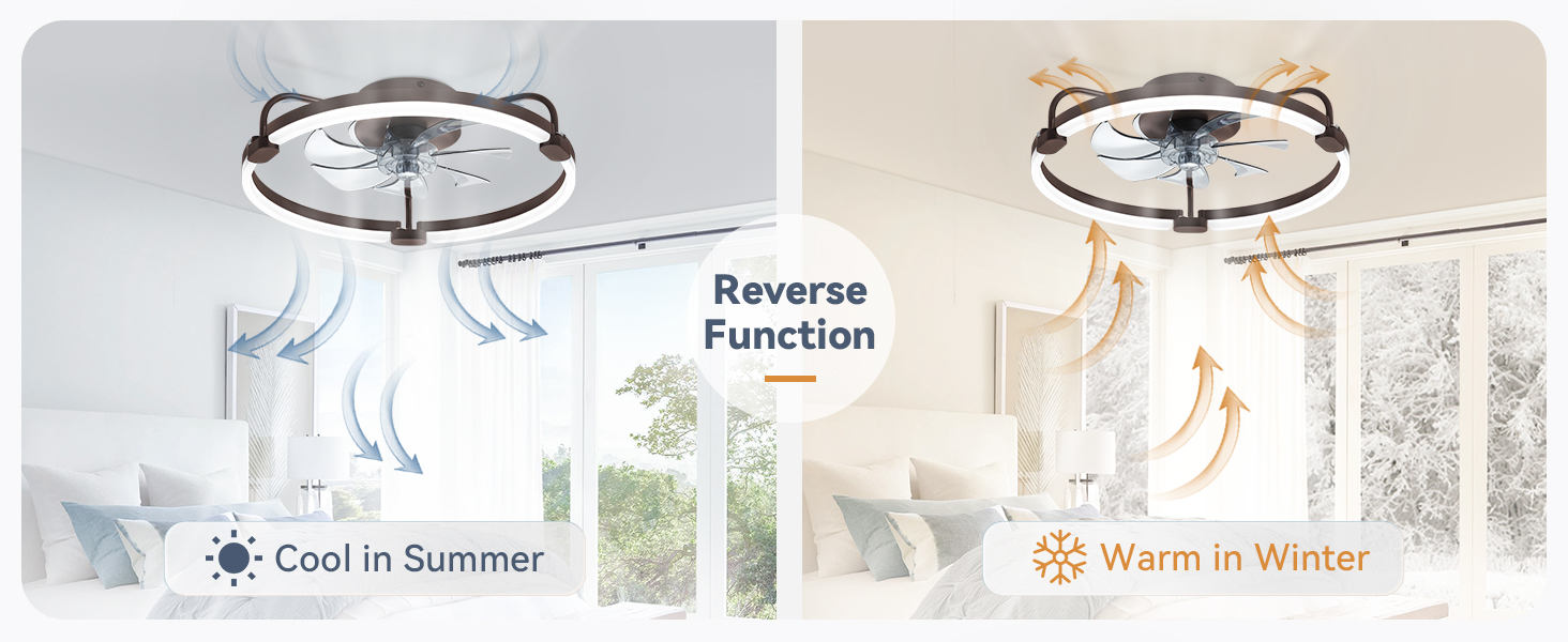 ceiling light with fan