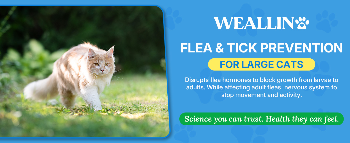 cat flea &amp;amp; tick control