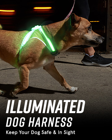 Noxgear | Lighthound Dog Harness, Keep your Dog Safe and in Sight
