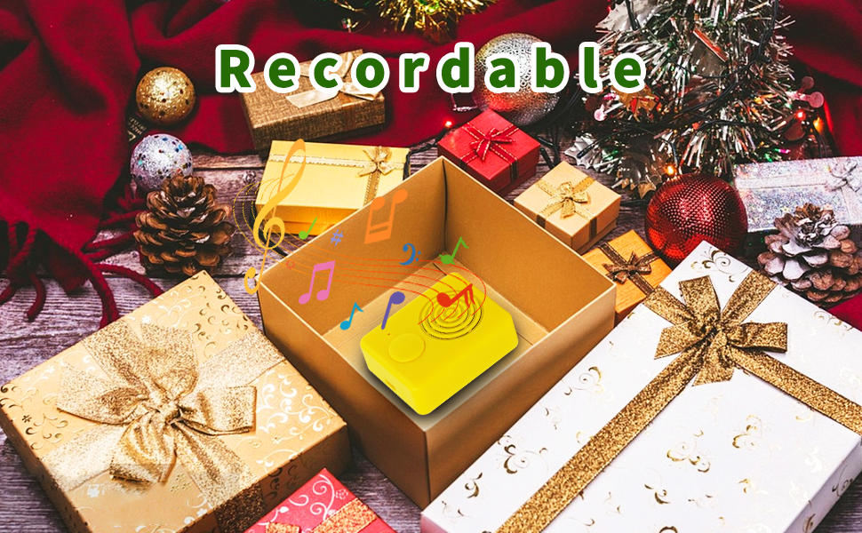 Sound Voice Box for Personalized Greetings 