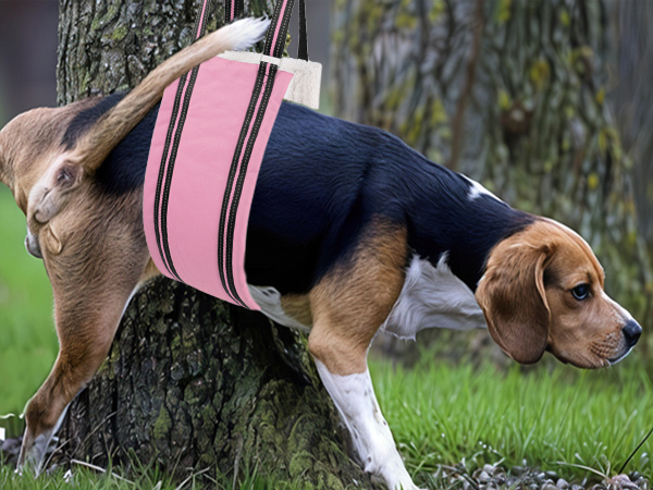 AIITLE Heavy-Duty Dog Lift Harness - Adjustable Hind Leg Support Sling for Elderly/Disabled Dogs