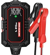 Sailnovo 1000mA Smart Battery Charger,6V 12V Fully Automatic Battery Maintainer Trickle Charger 1...