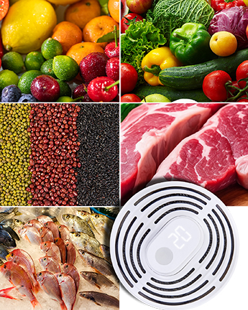 fruit vegetable washer