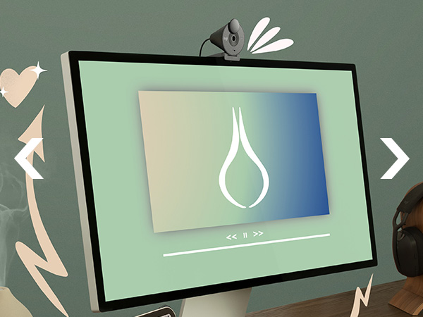 brio 300 full hd webcam