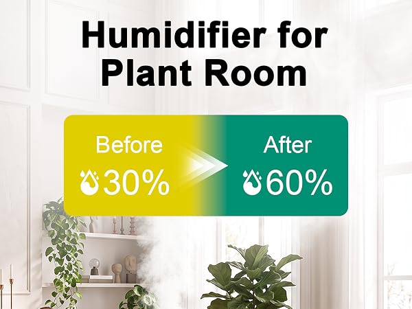 plant room humidifier