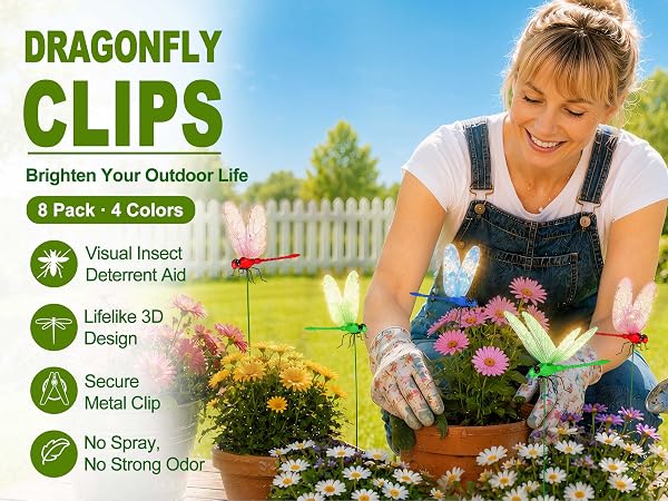 dragonfly clips